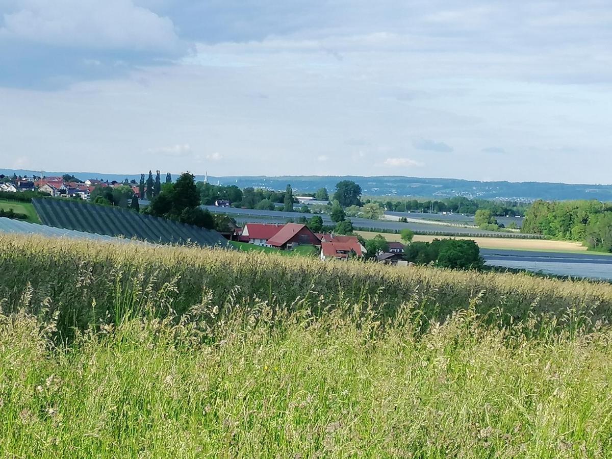 Pilgerhof Keller Apartment Friedrichshafen
